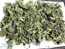 Nettle Leaves,Stinging Nettle Herb