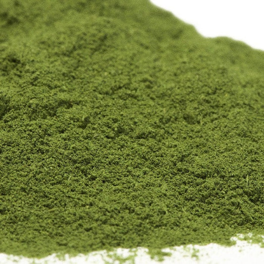 Organic Cilantro leaf Powder