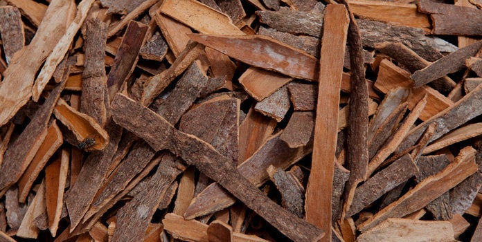 Cinnamon Bark