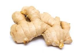Organic Ginger Tea Bags. 12- 24 Bags