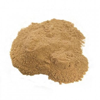 ALE (Manpower) Powder 80g