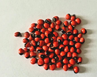 Huayruro seeds, Black Red Seeds, Crab Eye, Sailors Valentine, Lucky Seeds. 1oz/28g