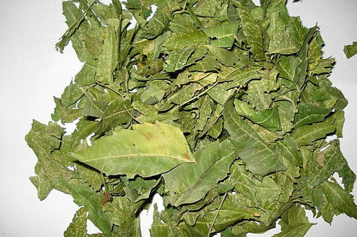 Organic Pure Neem Leaf (Dried) Azadirachta Indica