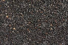 Sweet Basil Seeds, Thai Basil Seeds, Sabja Seeds, Tukmaria.