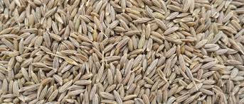 Cumin seeds