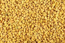 Organic Fenugreek seeds (whole)