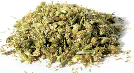 Yarrow  Herb