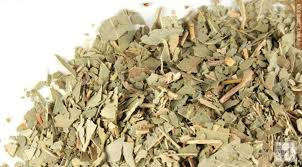 Eucalyptus Leaf Powder