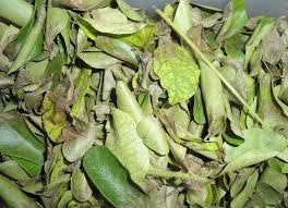 Organic (Dried) Curry Leaves