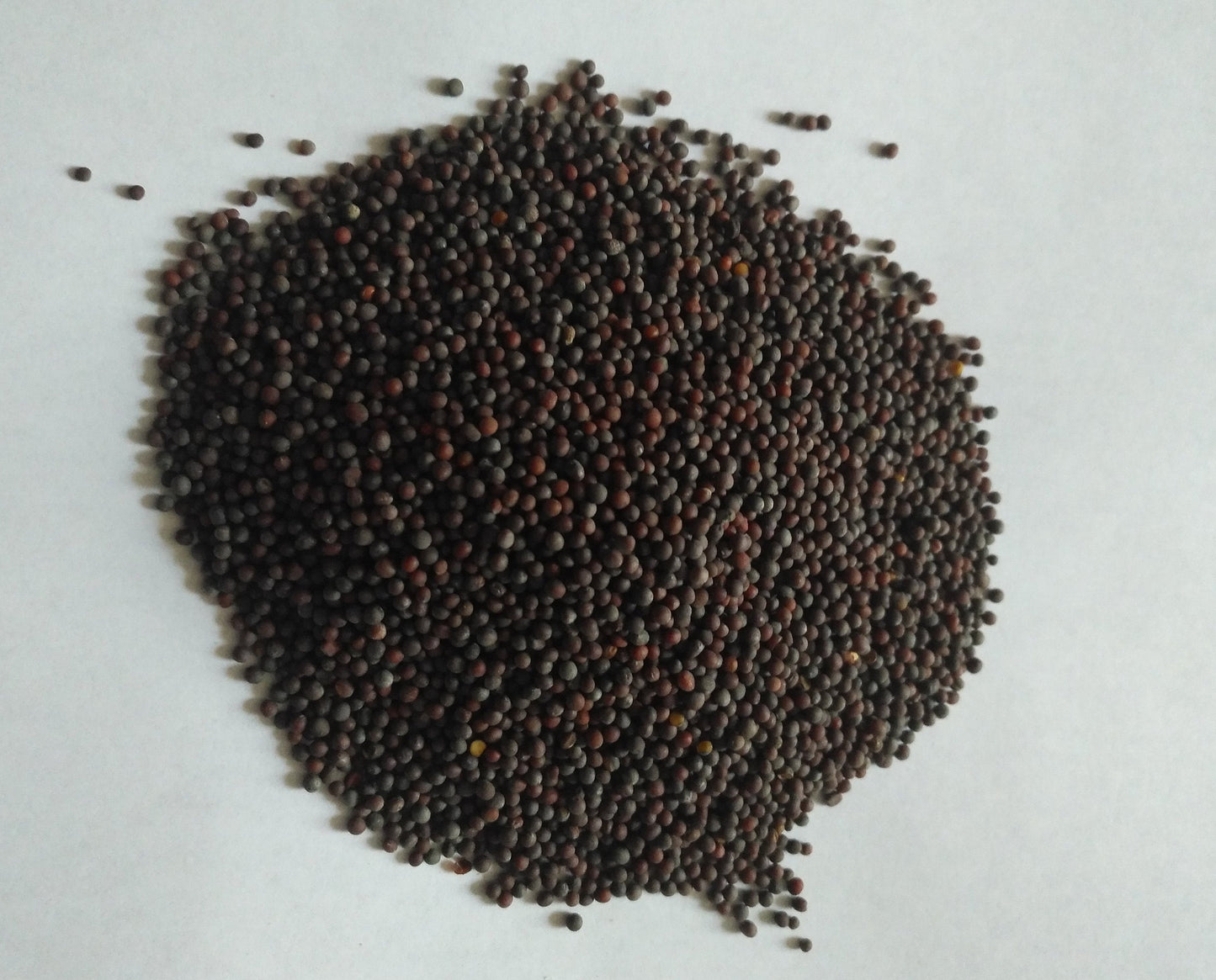 Organic Black Mustard Seed Powder