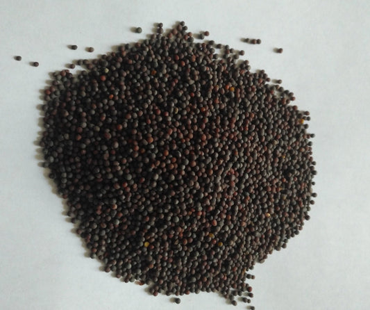 Organic Black Mustard Seed . 1 Pound