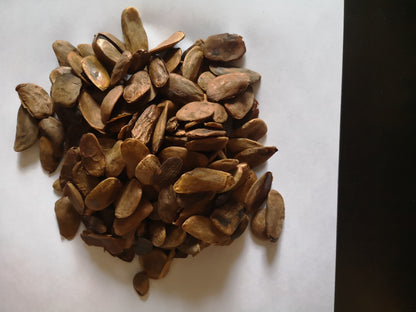 Organic Akuamma seed Powder. Abeere,(Picralima Nitida)